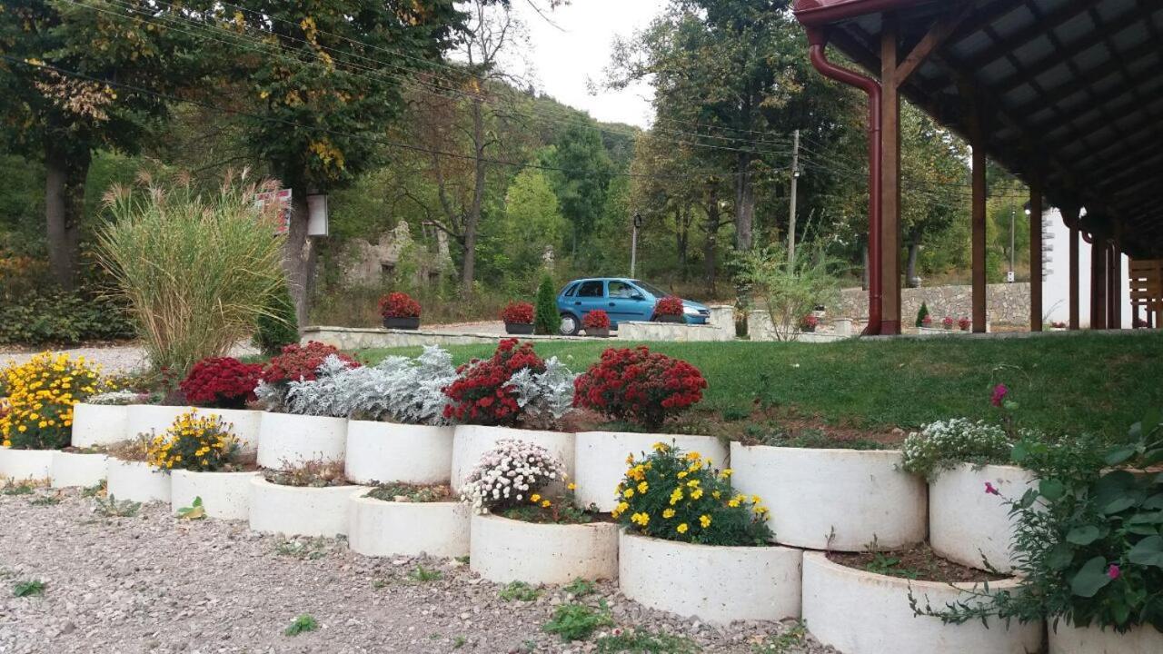 Apartmani Gmitrovic Rtanj Exteriör bild